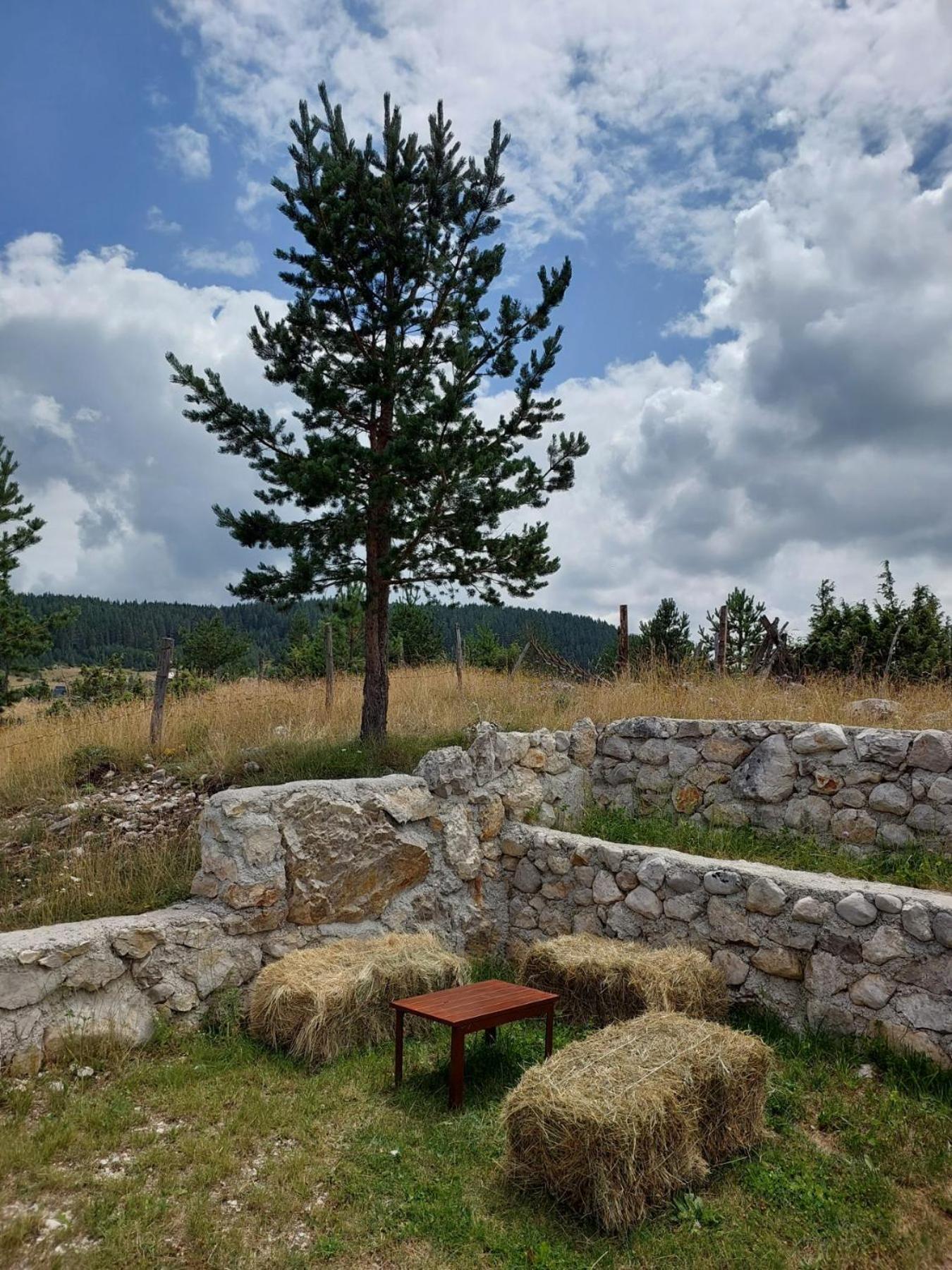 Mountain Peace Cottage Žabljak Eksteriør billede